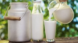 Top 10 Công dụng làm đẹp bằng sữa tươi không đường hiệu quả nhất