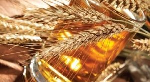 Top 10 Công dụng thú vị của bia mà bạn chưa biết