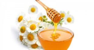 Top 10 Công dụng tuyệt vời của mật ong