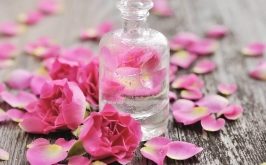 Top 10 Loại nước hoa hồng tốt nhất dành cho da dầu