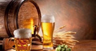 Top 10 Lợi ích bất ngờ của bia đối với sức khỏe và sắc đẹp