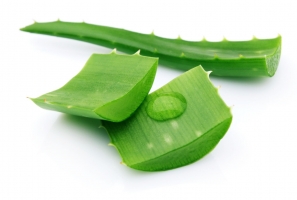 Top 10 Tác dụng chữa bệnh thần kỳ  của cây nha đam có thể bạn chưa biết