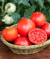 Top 11 Công dụng tuyệt vời của quả cà chua cho sức khỏe và làm đẹp