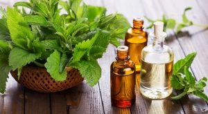 Top 11 Tinh dầu lấy lại tuổi thanh xuân cho làn da của bạn