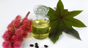 Top 11 Tác dụng làm đẹp đáng kinh ngạc của dầu thầu dầu