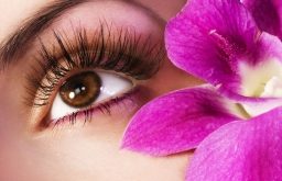 Top 5 địa chỉ đào tạo nối mi uy tín nhất ở Hải Phòng