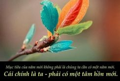 Top 7 Điều cần làm để năm 2018 trở nên tốt đẹp hơn