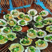 Top 2 Loại hải sản bình dân ở đảo Thạnh An